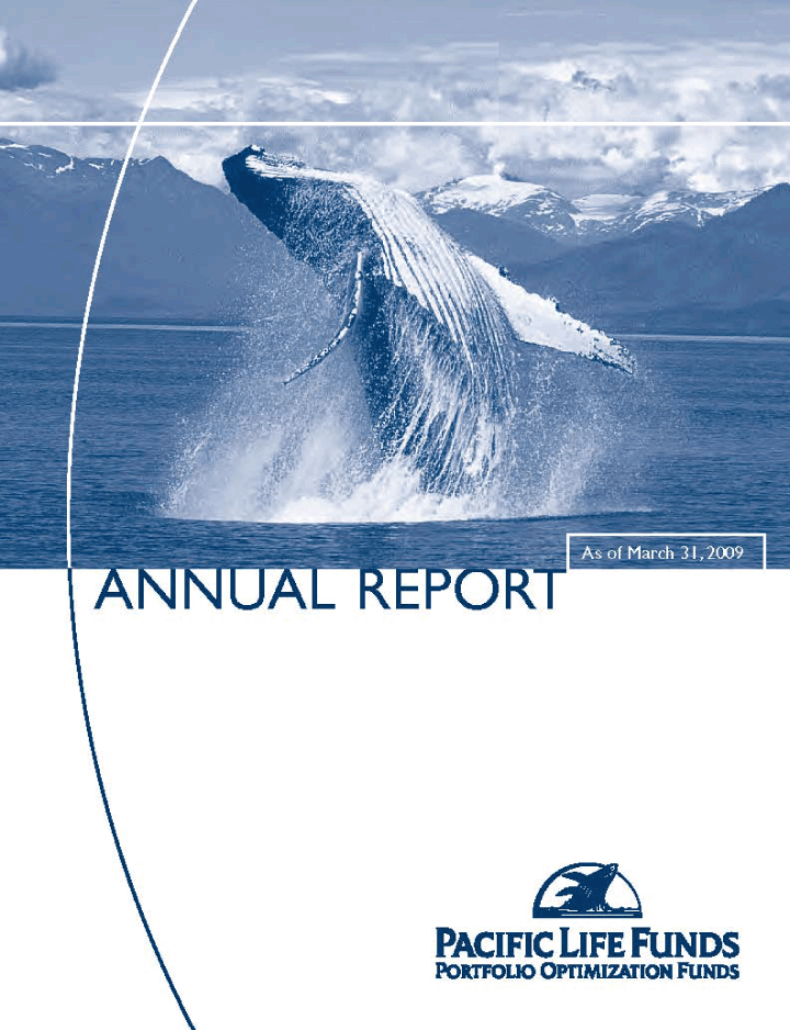 (ANNUAL REPORT)