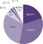 (PIE CHART)