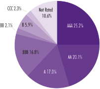 (PIE CHART)