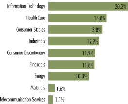 (SECTOR WEIGHTINGS GRAPH CHART)