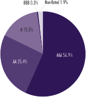 (PIE CHART)