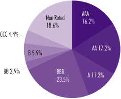 (PIE CHART)