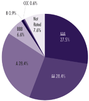 (PIE CHART)