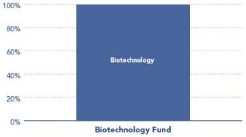 (PERFORMANCE GRAPH)