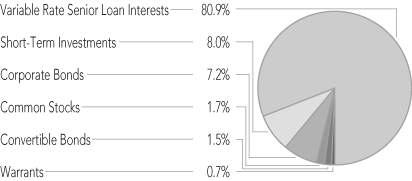 (PORTFOLIO ALLOCATION PIE CHART)