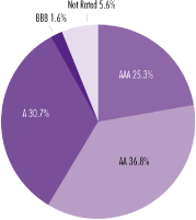 (PERFORMANCE GRAPH)