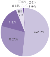 (PIE CHART)