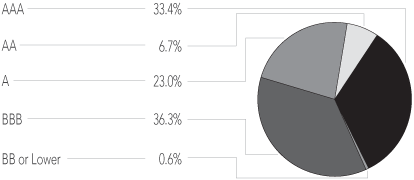 (PORTFOLIO ALLOCATION PIE CHART)