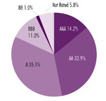 (PIE CHART)