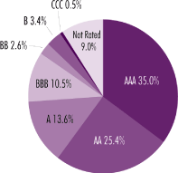 (PIE GRAPH)