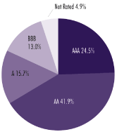 (PIE CHART)