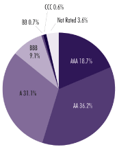 (PIE CHART)