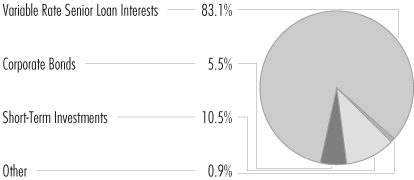 (PORTFOLIO ALLOCATION PIE CHART)