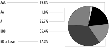 (PORTFOLIO ALLOCATION PIE CHART)