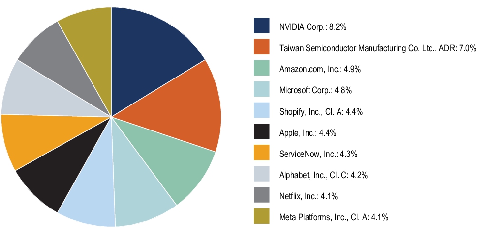 Graphical Representation - Top N Holdings Chart