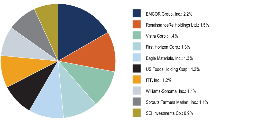 Graphical Representation - Top N Holdings Chart