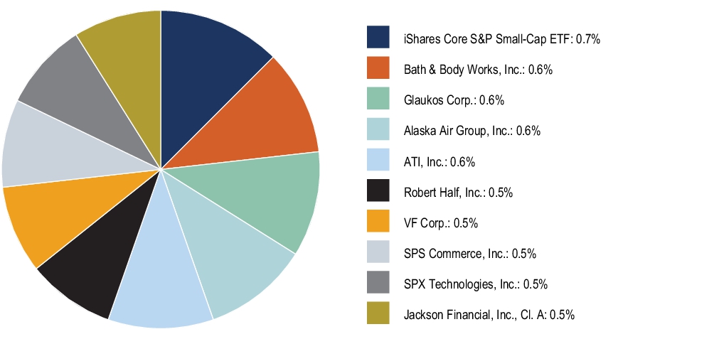 Graphical Representation - Top N Holdings Chart