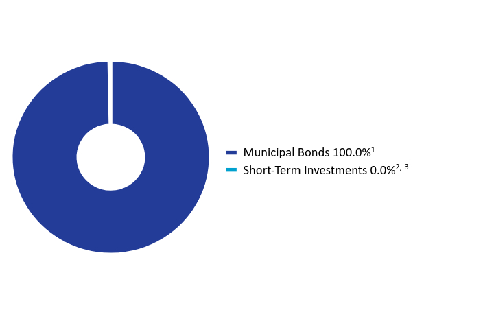 Group By Asset Type Chart