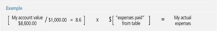 jhspec_expense-example.jpg