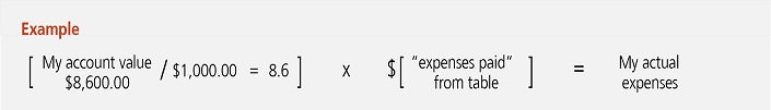 jhintl_expense-example.jpg