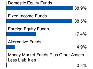 Graphical Representation - Allocation 1 Chart