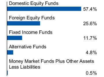 Graphical Representation - Allocation 1 Chart