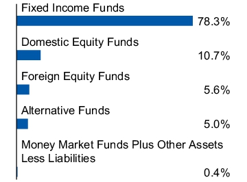 Graphical Representation - Allocation 1 Chart