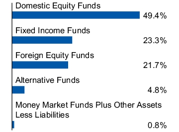 Graphical Representation - Allocation 1 Chart