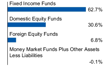 Graphical Representation - Allocation 1 Chart