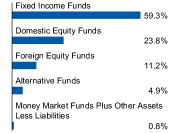 Graphical Representation - Allocation 1 Chart