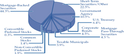 (PIE CHART)