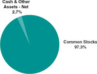 (PIE CHART)