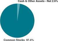 (PIE CHART)