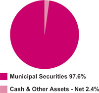 (PIE CHART)