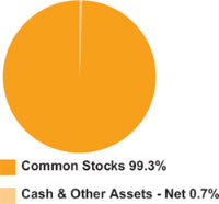 (PIE CHART)