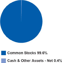 (pie chart)