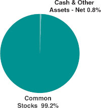 (PIE CHART)