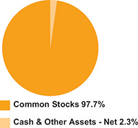 (PIE CHART)