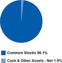 (PIE CHART)