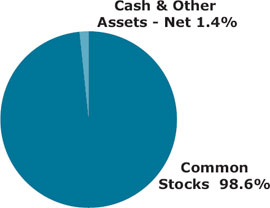 (pie chart)