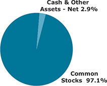 (PIE CHART)