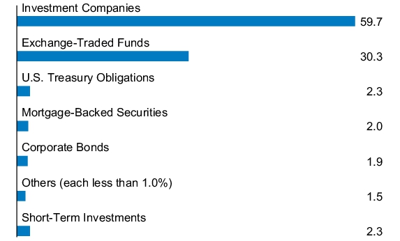 Graphical Representation - Allocation 1 Chart