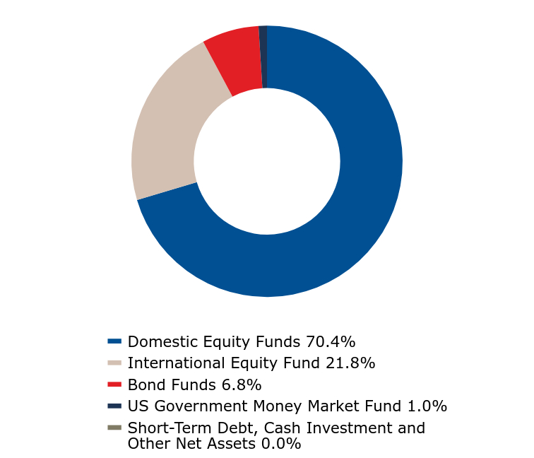 A graphical representation of Investments made.