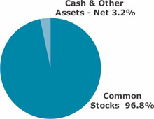 (PIE CHART)