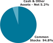 (PIE CHART)