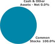 (PIE CHART)