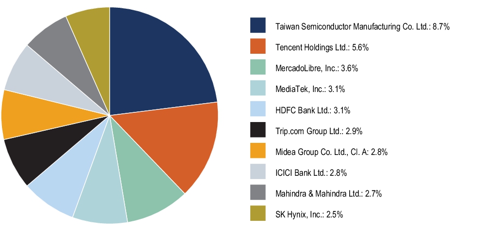 Graphical Representation - Top N Holdings Chart