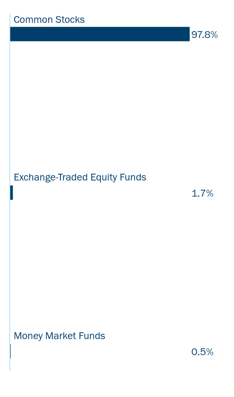 Bar chart of the Fund's holdings as a percentage of net assets grouped by applicable category Ex: Asset Type, Sector, Country, or Credit Rating