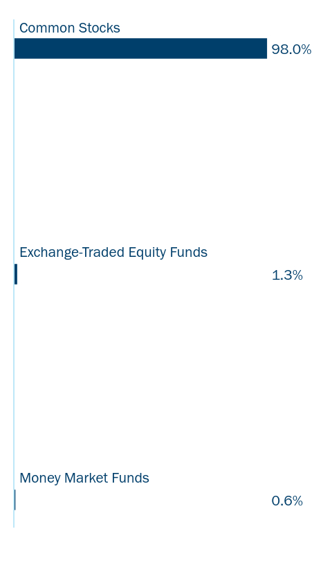 Bar chart of the Fund's holdings as a percentage of net assets grouped by applicable category Ex: Asset Type, Sector, Country, or Credit Rating