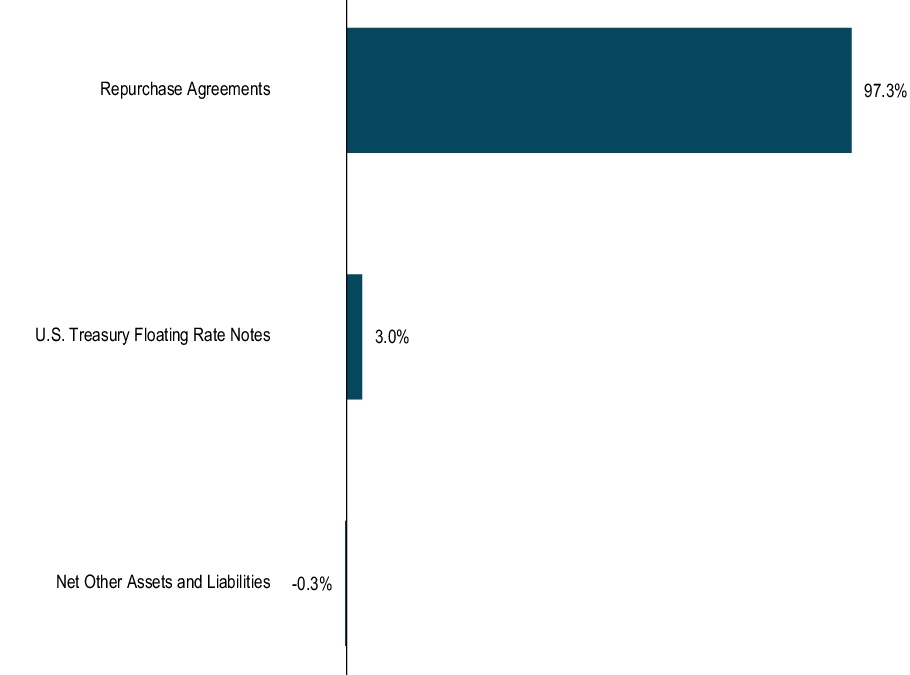 Graphical Representation - Top N Holdings Chart